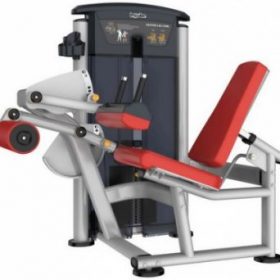 Seated Leg Curl - Impulse It