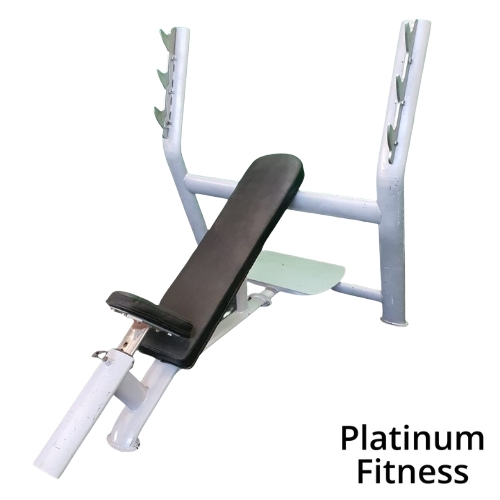 Platinum Fitness incline weight bench with barbell rack