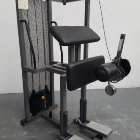 technogym standing leg curl